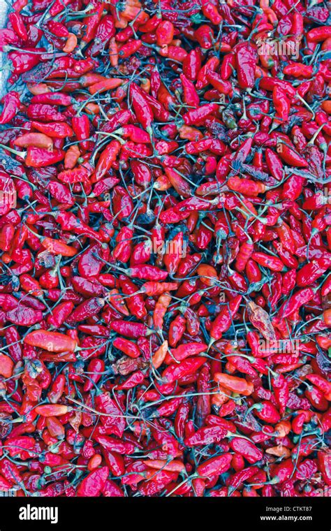 Hili Paprika Hi Res Stock Photography And Images Alamy