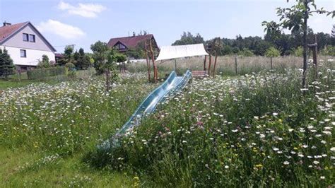 Louka Meadow Garden Zahrada Ovocn Stromy Svahov Skluzavka Slope