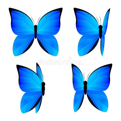 Sistema De Mariposas Azules Aisladas En Blanco Ilustraci N Del Vector