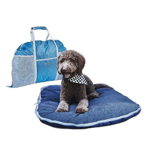 Best Dog Travel Beds Get The Coziest Trip With These Wonderful Things