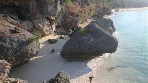 Eloknya Pasir Putih Pantai Cemara Di Pulau Sabu NTT Ada Benteng