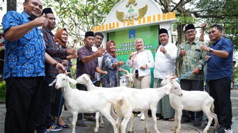 Pemkab Sleman Beri Bantuan Kepada Unit Usaha Bumkal Sebanyak Ternak