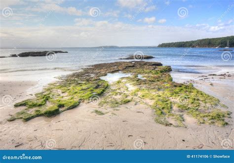 Moss Covered Rocks And Rock Pools Stock Photo Image Of Boats