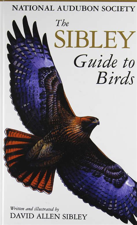 The Sibley Guide To Birds Audubon Society Nature Guides David Allen