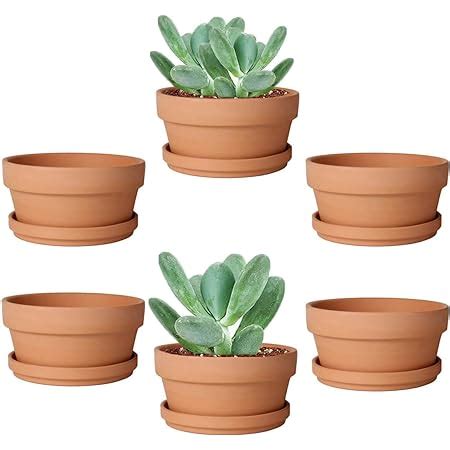 Amazon Vensovo 3 7 Inch Terracotta Shallow Succulent Pot 6 Pack