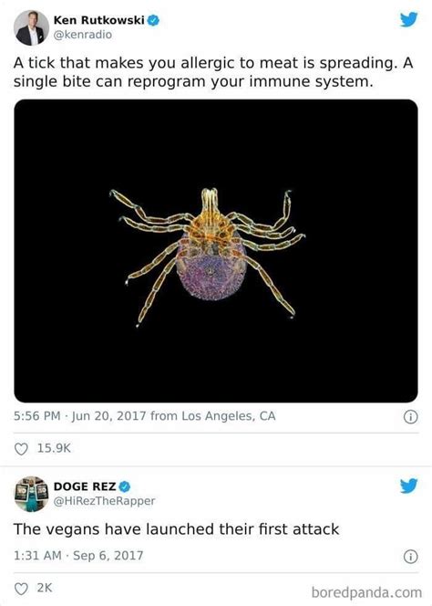 The best Tick memes :) Memedroid