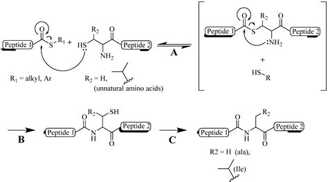 Molecules Free Full Text Peptide Conjugation Via Cuaac ‘click