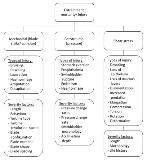 Types Of Injury And Factors Affecting Severity Of Physical Forces