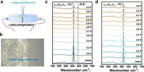 In Situ Raman Spectroscopy Detection At The Lise Interface Region On Download Scientific