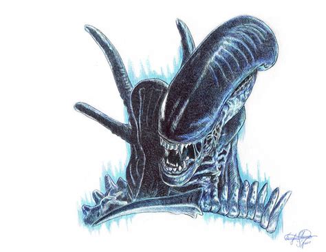 Xenomorph Drawing at GetDrawings | Free download