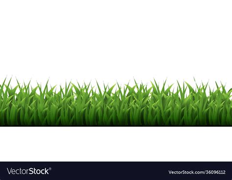 Green Grass Border White Background Royalty Free Vector