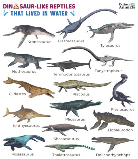 Dinosaur-Like Reptiles That Lived in Water – Facts, List, Pictures