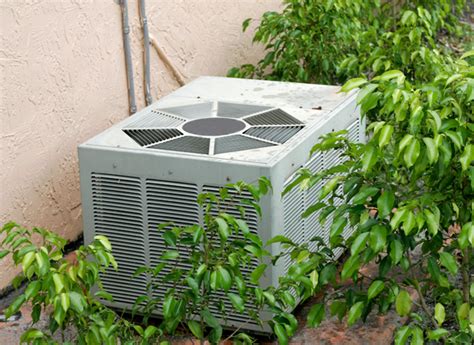 5 Ways To Landscape Around A Central Air Conditioning Unit