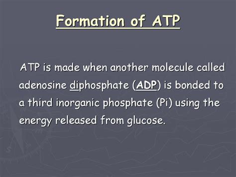 respiration