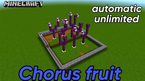 How To Make A Automatic Unlimited Chorus Fruit Farm In Minecraft 🔥