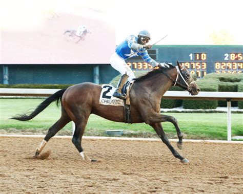 Catching Freedom enters Derby picture in Smarty Jones | News | Kentucky ...