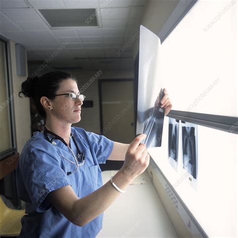 Doctor Examining X Rays Stock Image M415 0626 Science Photo Library