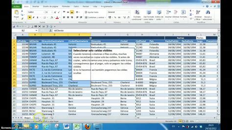 01 Seleccionar Celdas Visibles Youtube