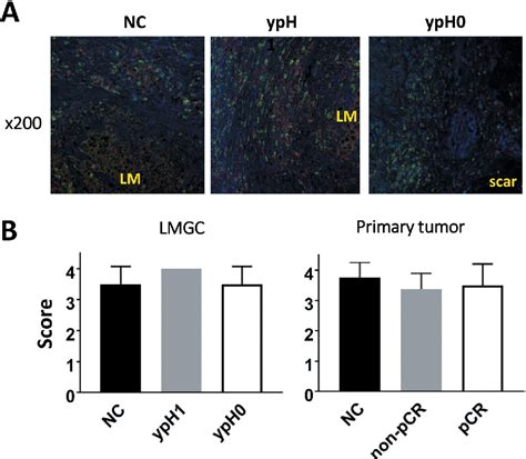 Figure 3 From Pathological Complete Remission Of Liver Metastases Correlates With Elimination Of