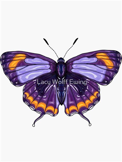 Colorado Hairstreak Butterfly Sticker For Sale By Lacywolff Redbubble