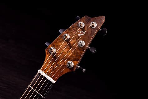 Acoustic Guitar Tonewoods — Do They Matter Insync