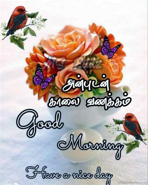 38 Lovely Tamil Good Morning Wishes Good Morning Wishes