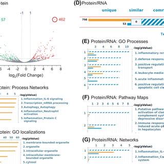 Comparative Proteomic And Combined RNAseq And Proteomic Analysis Of