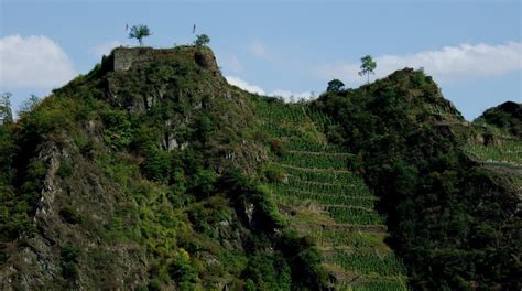 Genusstrip ins Weinbaugebiet Ahr im sonnigen Ahrtal Der Varta Führer