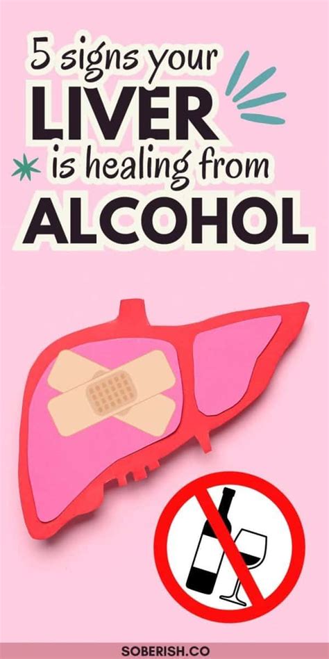 Signs Your Liver Is Healing From Alcohol Soberish