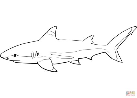 Blacktip Reef Shark coloring page | Free Printable Coloring Pages