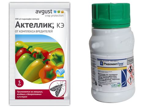Паутинный и земляничный клещ на клубнике: как и чем обработать?