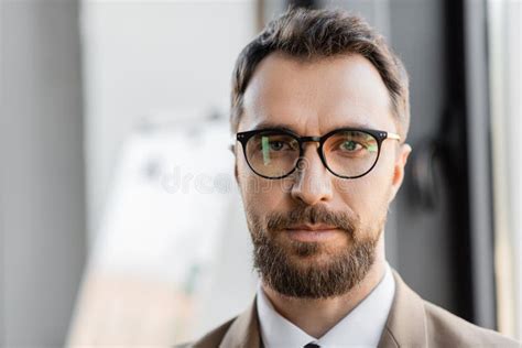 Portrait Of Brunette And Bearded Successful Stock Photo Image Of Manager Adult 278857386