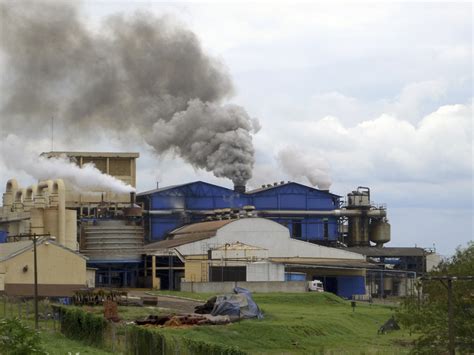 N Veis De Gases Efeito De Estufa Atingem Novo Recorde Diz Onu