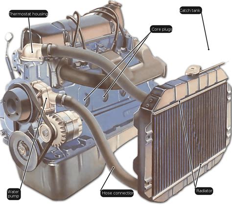 Areas Of The Cooling System To Check For Leaks