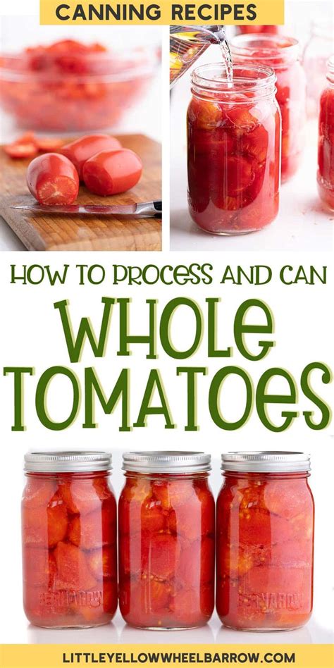 Canning Tomatoes Whole The Quick And Easy Cold Pack Method Recipe