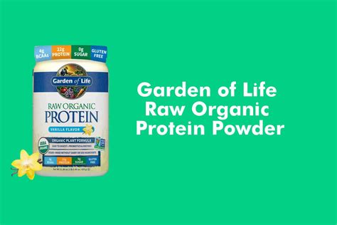 10 Best Organic Protein Powders — Loyal Organic