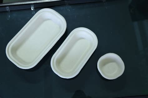 White Paper Disposable Food Container With Lid Sugarcane For Event And Party Supplies At Rs 7