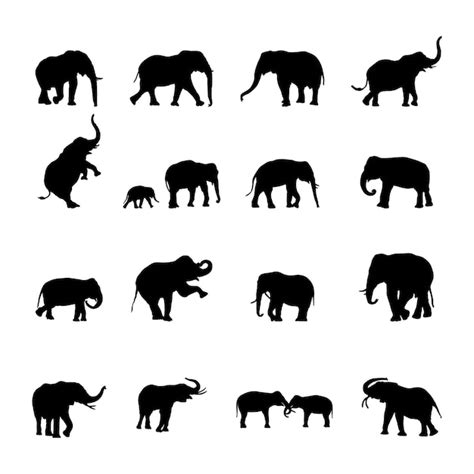 Elefant Silhouetten Elefant Silhouette Sammlung Premium Vektor