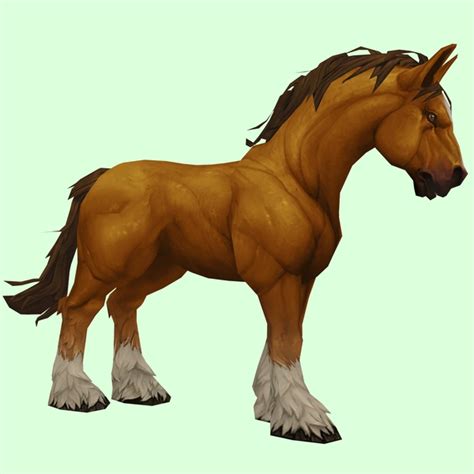 Kul Tiran Horse Npc Petopia Hunter Pets In The World Of Warcraft