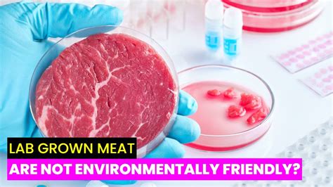 The Hidden Environmental Impact Of Lab Grown Meat Future Technology