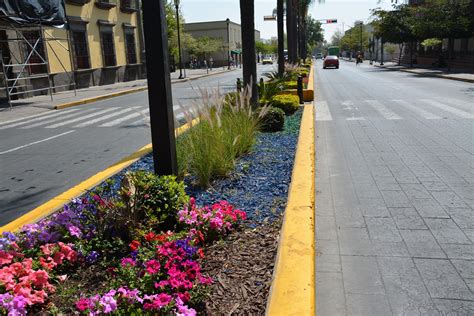 Genera Zapopan Recurso Para Mantenimiento De Camellones Y Reas Verdes