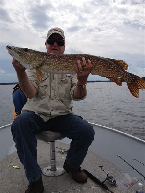 Gallery Gods Lake Elk Island Lodge Fishing Resort