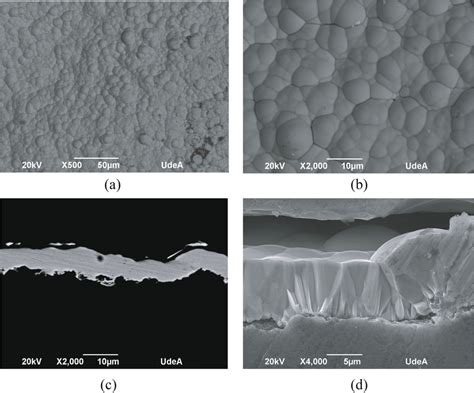 Sem Images Of Electroless Coating Ni P On Abs A And B Top View