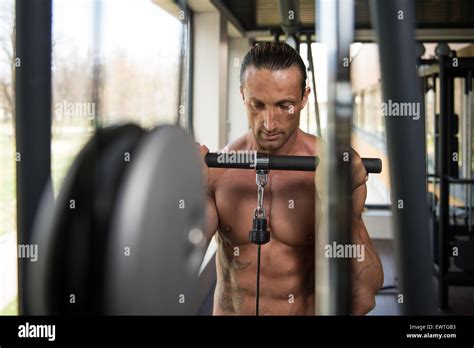 Muscular Mature Man Bodybuilder Doing Heavy Weight Exercise For Biceps