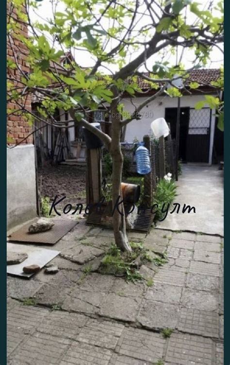 Хасково, Продавам къща, кв. ”Хисаря” Двуетажна къща 180 кв.м РЗП 120 кв ...