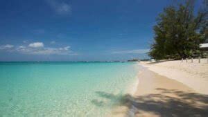 Cemetery Beach Grand Cayman Snorkel Review All You Need To Know