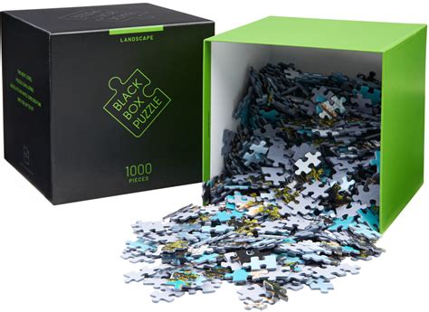 Misu Games Black Box Puzzle Ohne Vorlage Teile Ab Januar