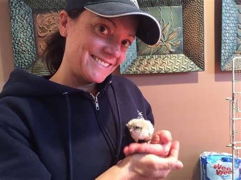 Backyard Chicken Farming Taking Off In Central Labrador Cbc News