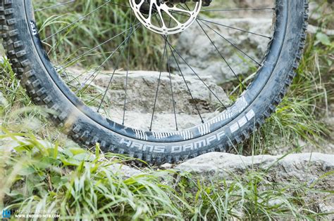 First Ride Review Schwalbe Hans Dampf The New Version Of The