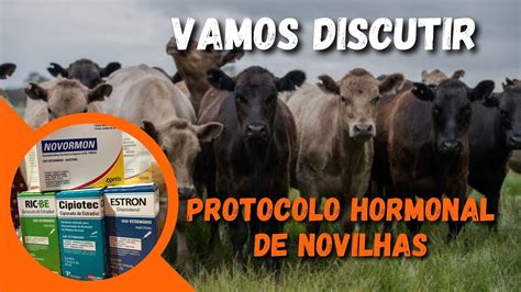 17 PROTOCOLO HORMONAL DE NOVILHAS YouTube